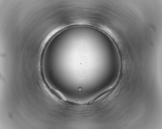 X0000090961331200708091348