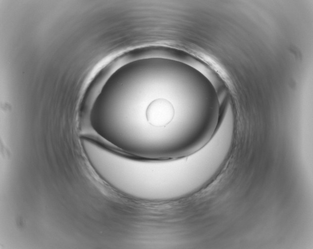 X0000090961332200708091348