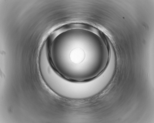 X0000090961334200708091348