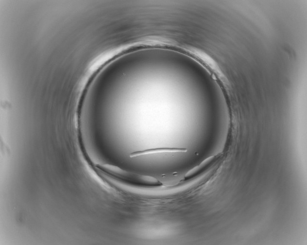 X0000090961335200708091348