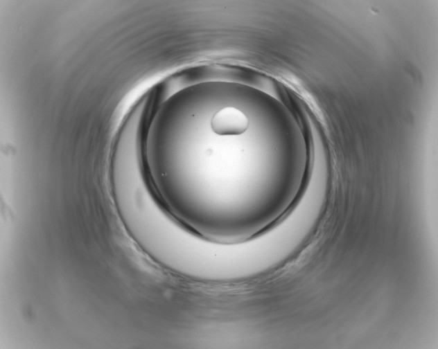 X0000090961336200708091348