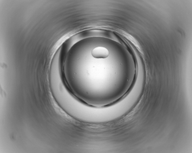 X0000090961338200708091348