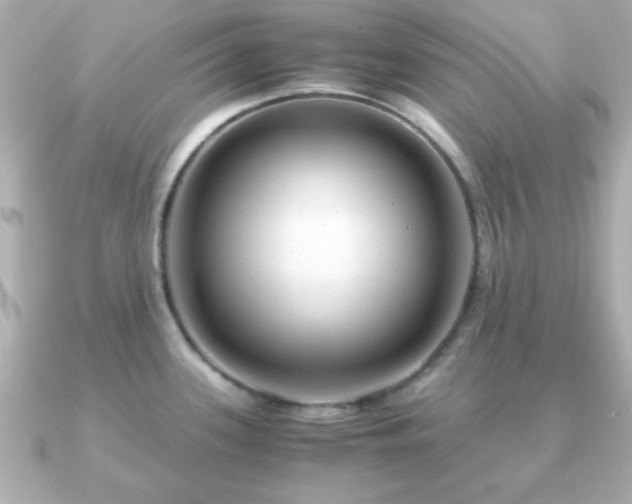 X0000090961339200708091348