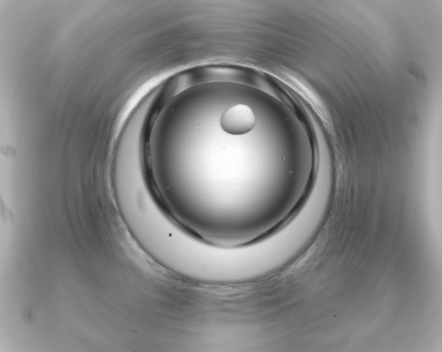 X0000090961340200708091348