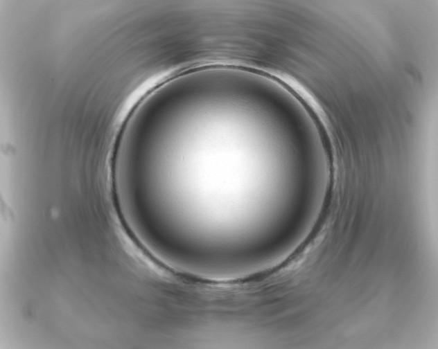 X0000090961341200708091348
