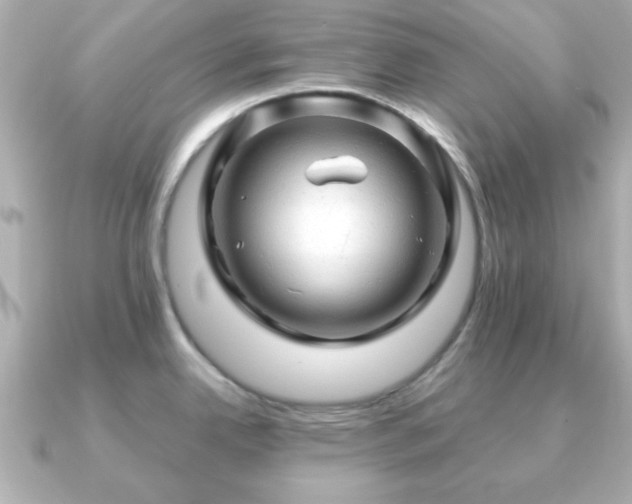 X0000090961342200708091348