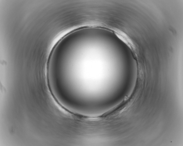 X0000090961343200708091348