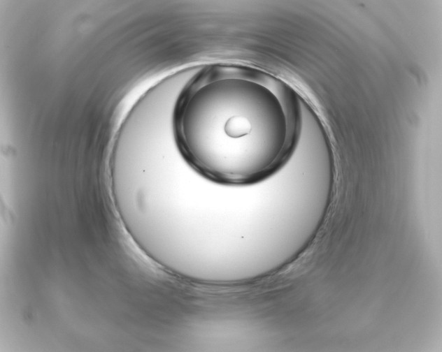 X0000090961344200708091348