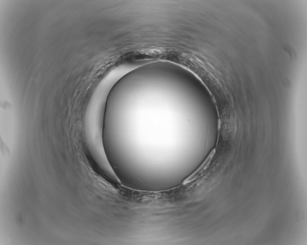 X0000090961345200708091347