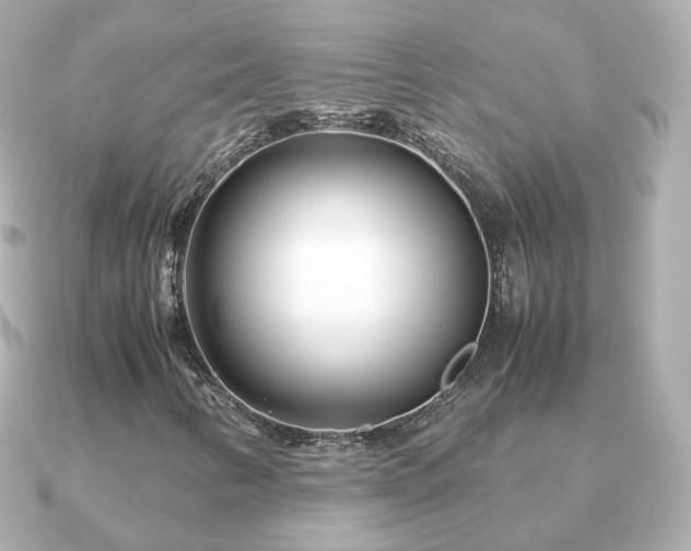 X0000090961346200708091347