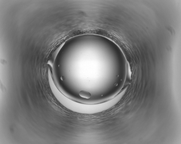 X0000090961348200708091347