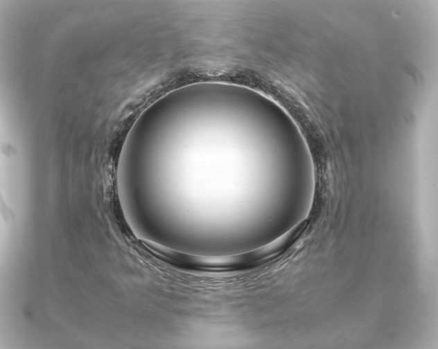 X0000090961349200708091347