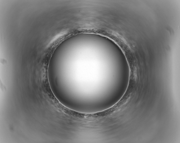 X0000090961350200708091347