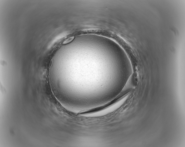 X0000090961351200708091347