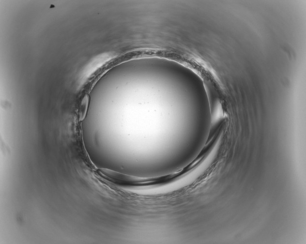 X0000090961352200708091347