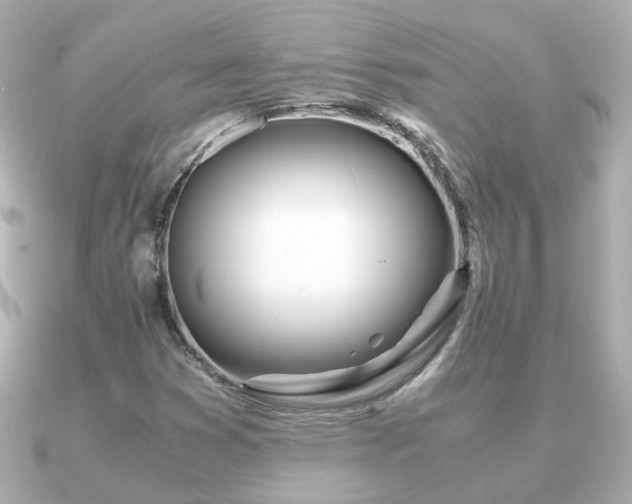 X0000090961353200708091347