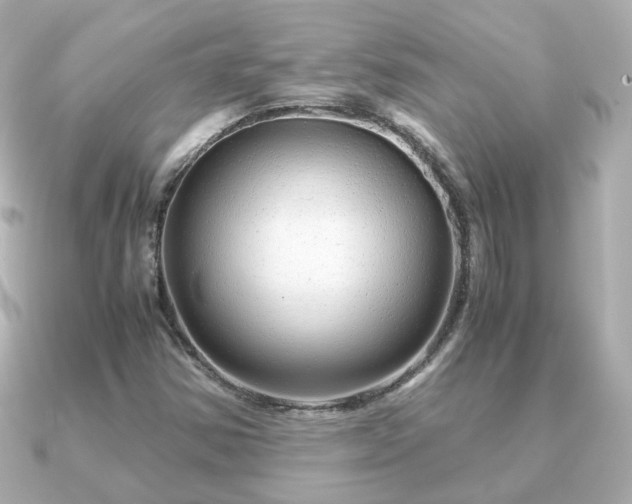 X0000090961354200708091347
