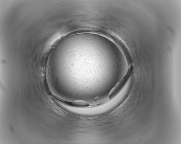 X0000090961355200708091347