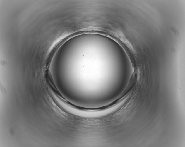 X0000090961356200708091347
