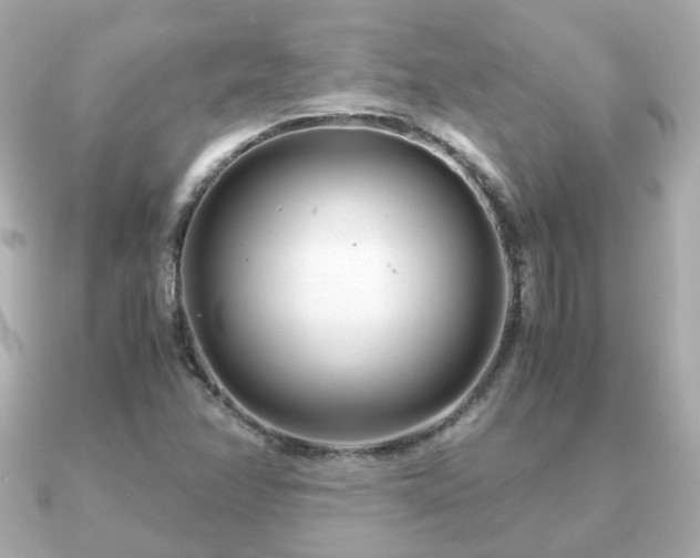 X0000090961358200708091347