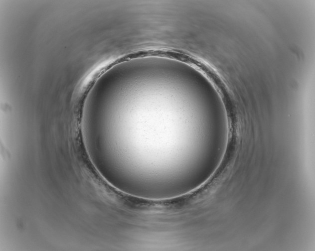X0000090961359200708091347