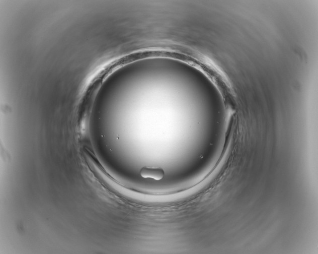 X0000090961360200708091347