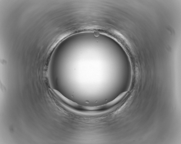 X0000090961361200708091347