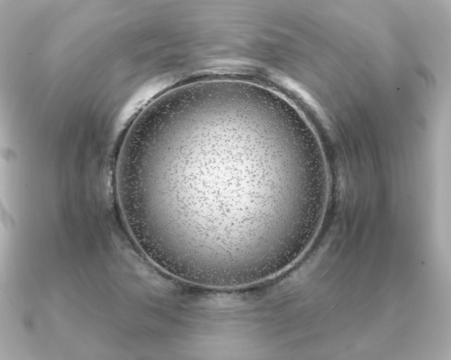 X0000090961362200708091347