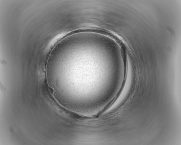 X0000090961363200708091347