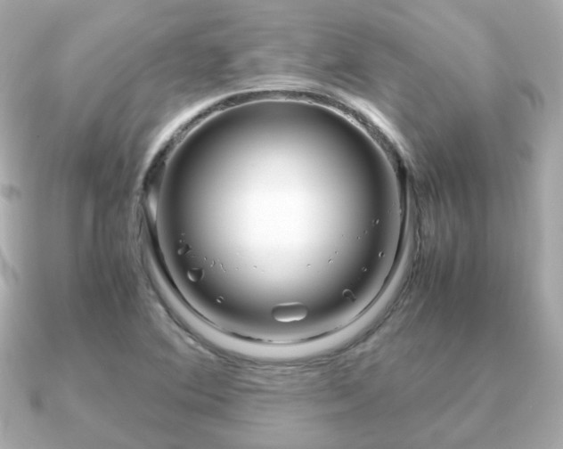 X0000090961364200708091347