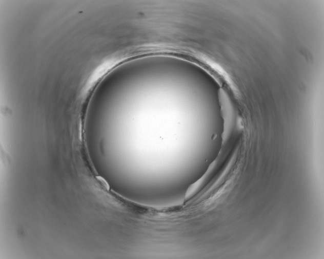 X0000090961365200708091347