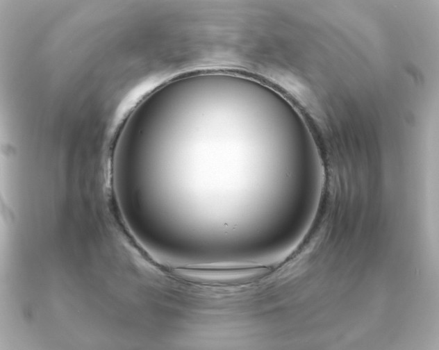 X0000090961366200708091347