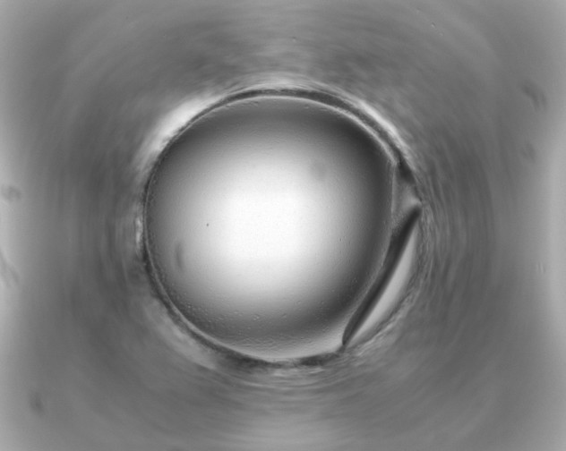 X0000090961367200708091347