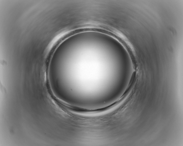 X0000090961368200708091347