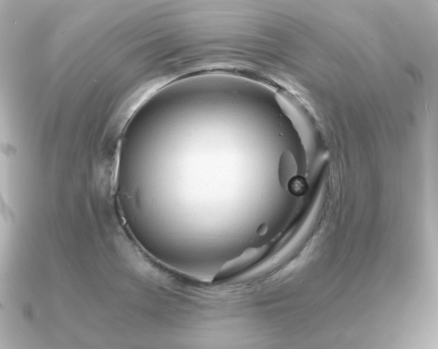 X0000090961369200708091347