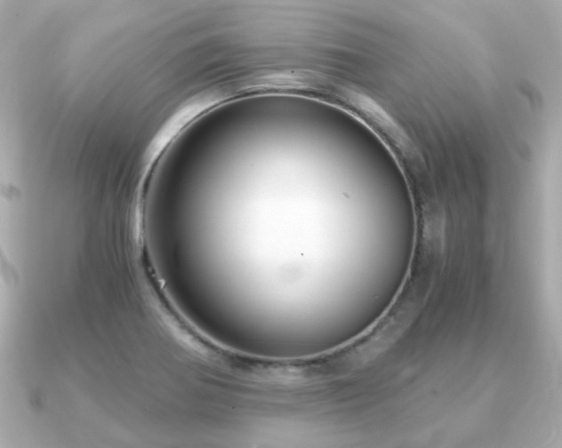 X0000090961370200708091347