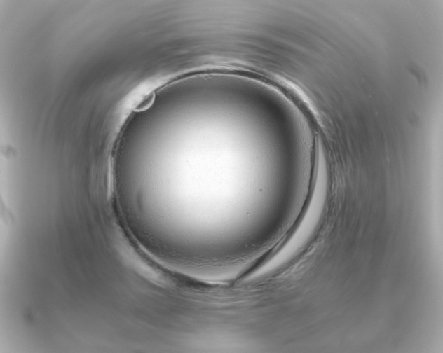 X0000090961371200708091347