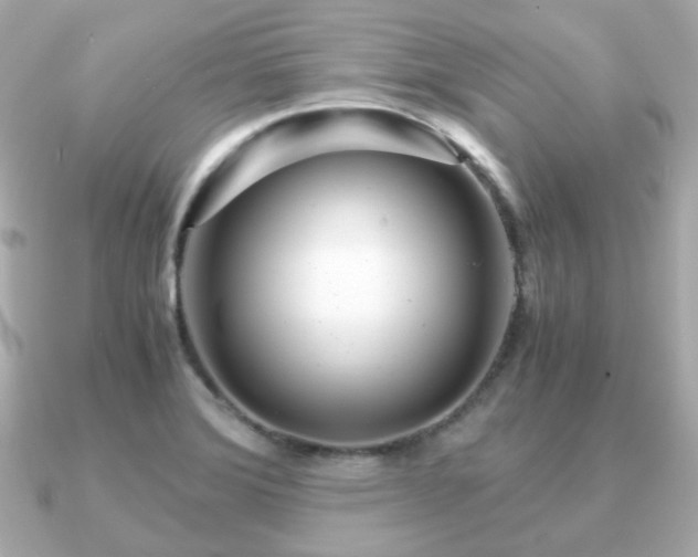 X0000090961372200708091347