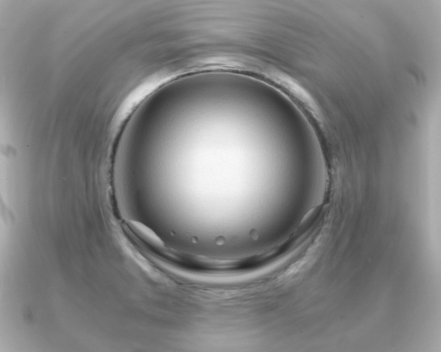 X0000090961373200708091347