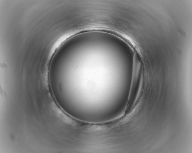 X0000090961374200708091347