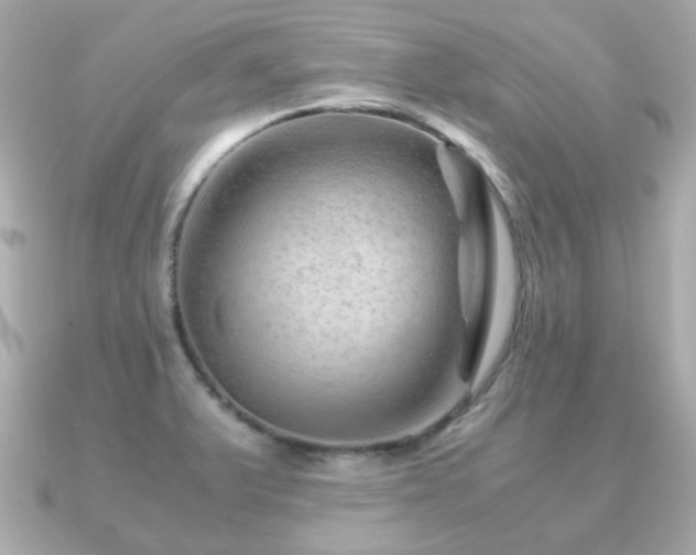 X0000090961375200708091347