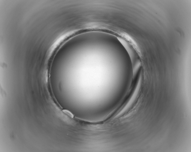 X0000090961376200708091347