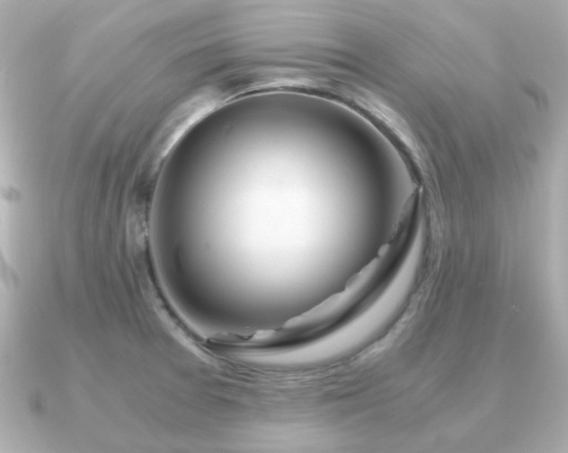 X0000090961377200708091347