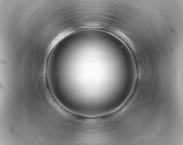 X0000090961378200708091347