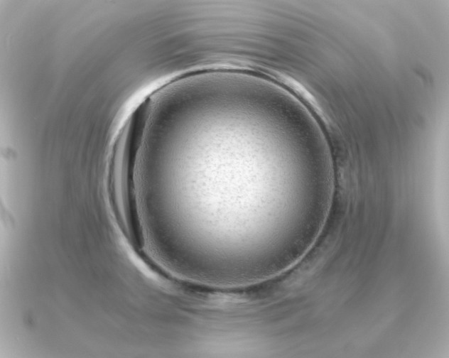 X0000090961379200708091347