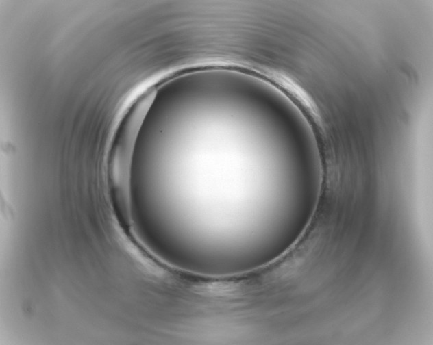 X0000090961380200708091347