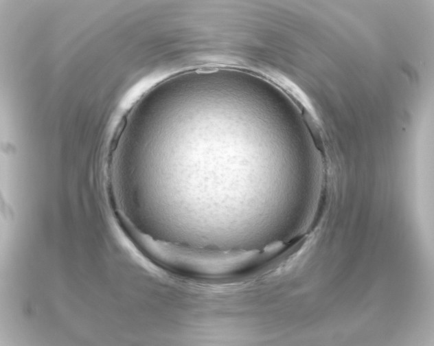 X0000090961381200708091347