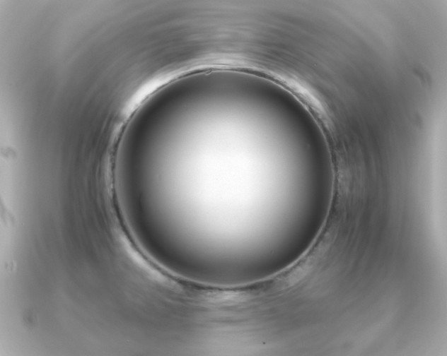 X0000090961382200708091347