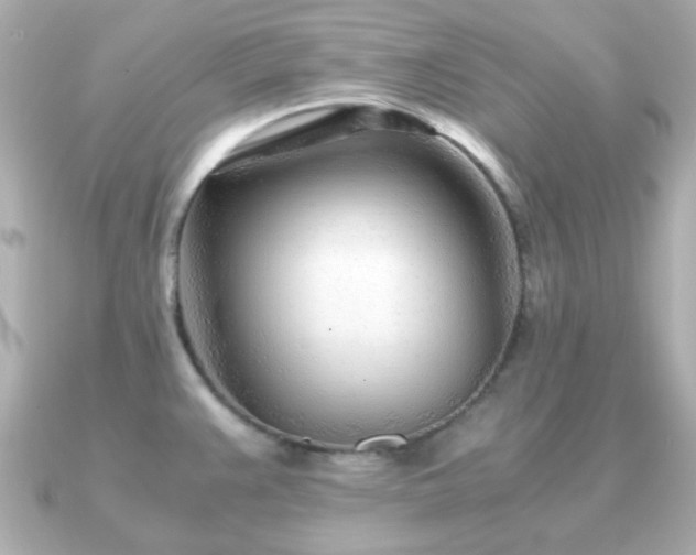 X0000090961383200708091347
