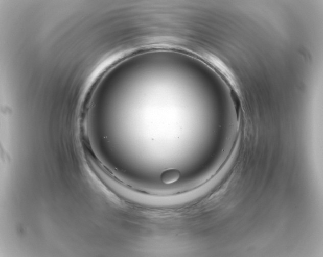 X0000090961384200708091347